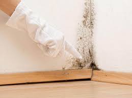 Mold Remediation for Vacation Homes in Redlands, CA